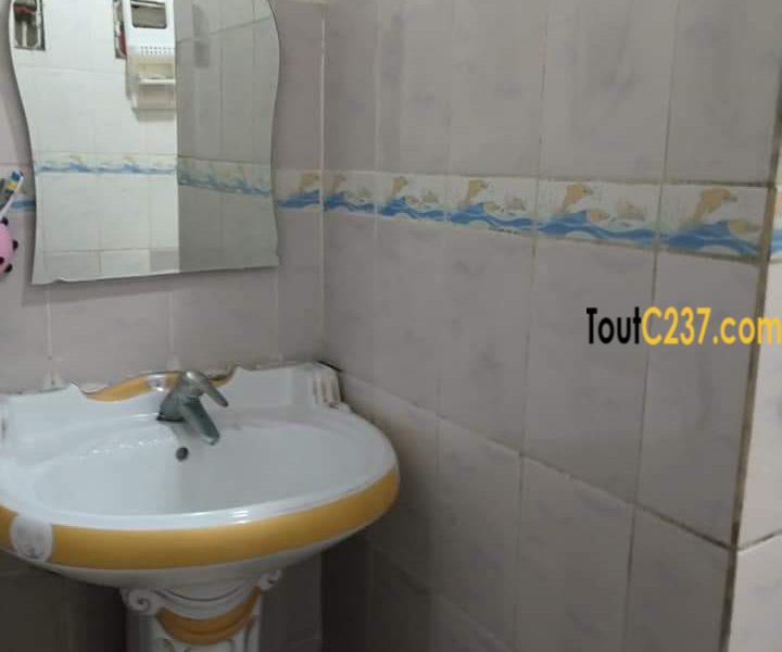 Maison à vendre à Kotto Douala