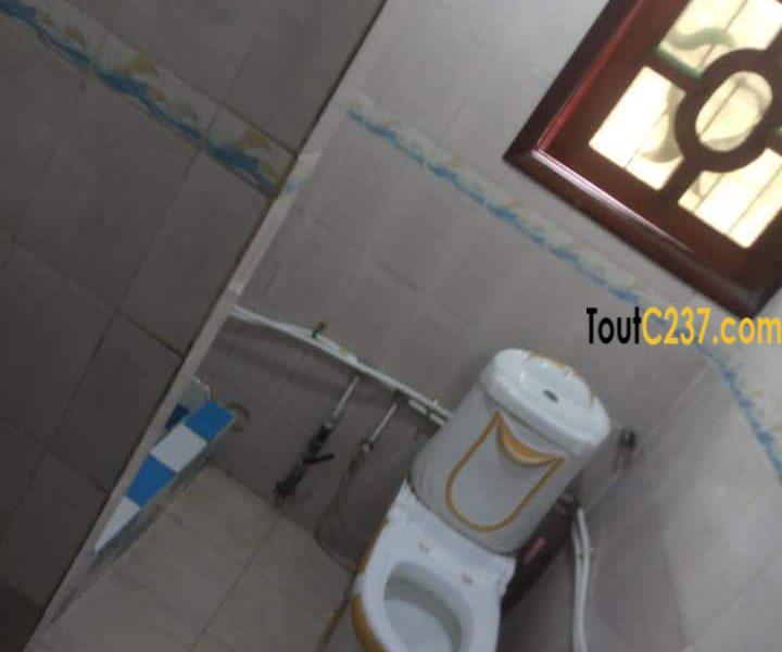 Maison à vendre à Kotto Douala