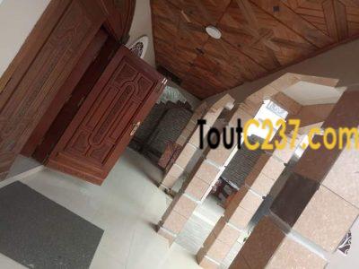Maison à vendre à Kotto Douala