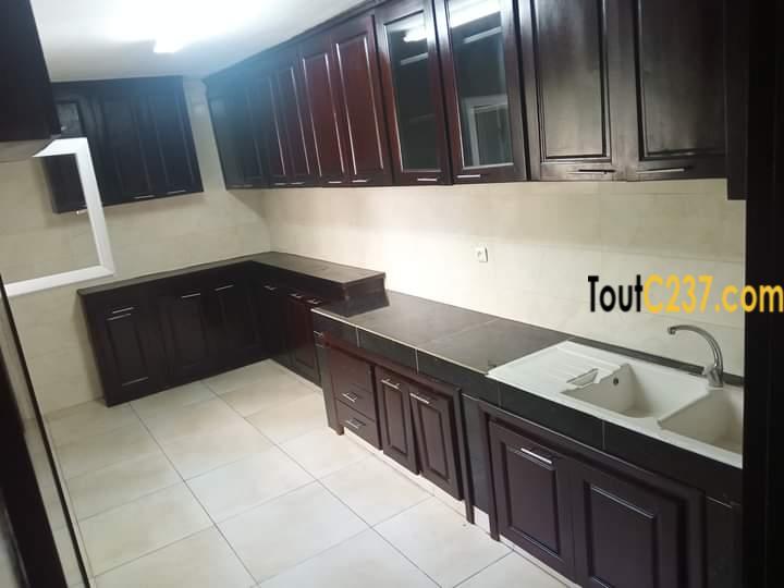 Vaste appartement à louer à Bonanjo, Douala