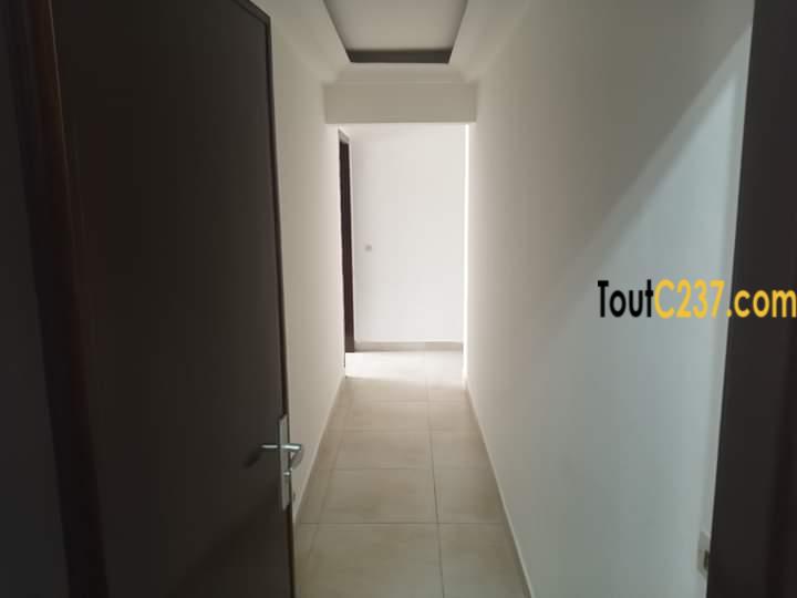 Vaste appartement à louer à Bonanjo, Douala