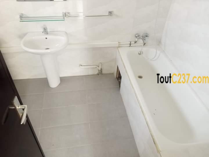 Vaste appartement à louer à Bonanjo, Douala