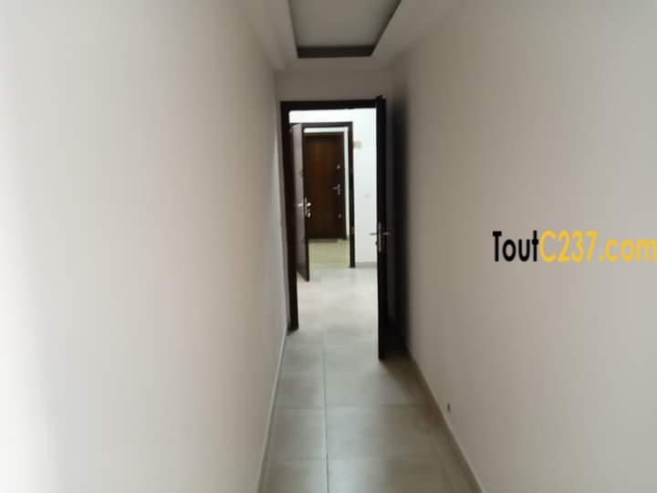 Vaste appartement à louer à Bonanjo, Douala