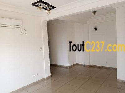 Appartement à louer à Bonanjo, Douala