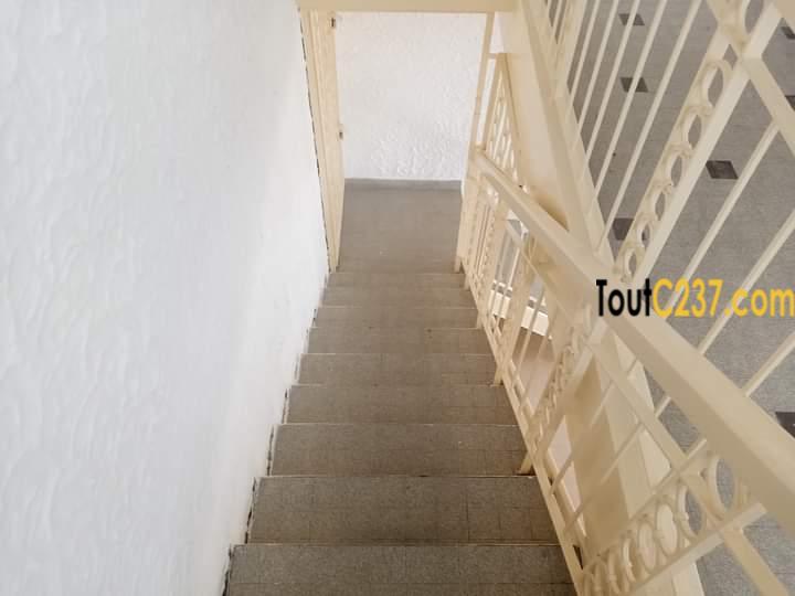 Duplex à louer à Bonapriso, Douala