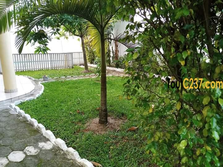 Duplex , villa à louer à Bonapriso, Douala
