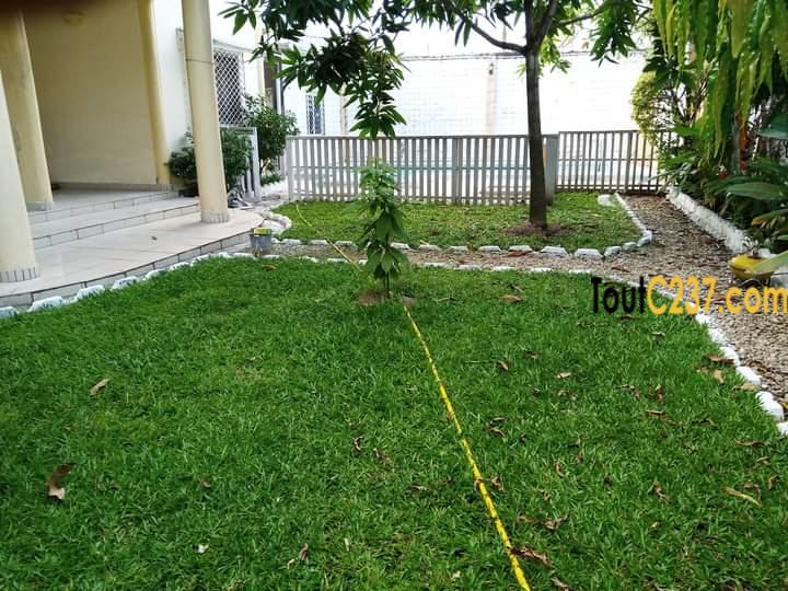 Duplex , villa à louer à Bonapriso, Douala