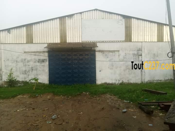 Entrepôt à louer Bonaberi, Douala