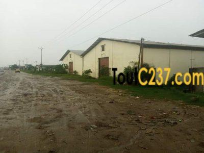 Entrepôt à louer Bonaberi, Douala