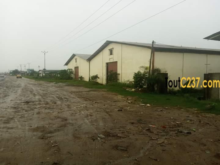 Entrepôt à louer Bonaberi, Douala