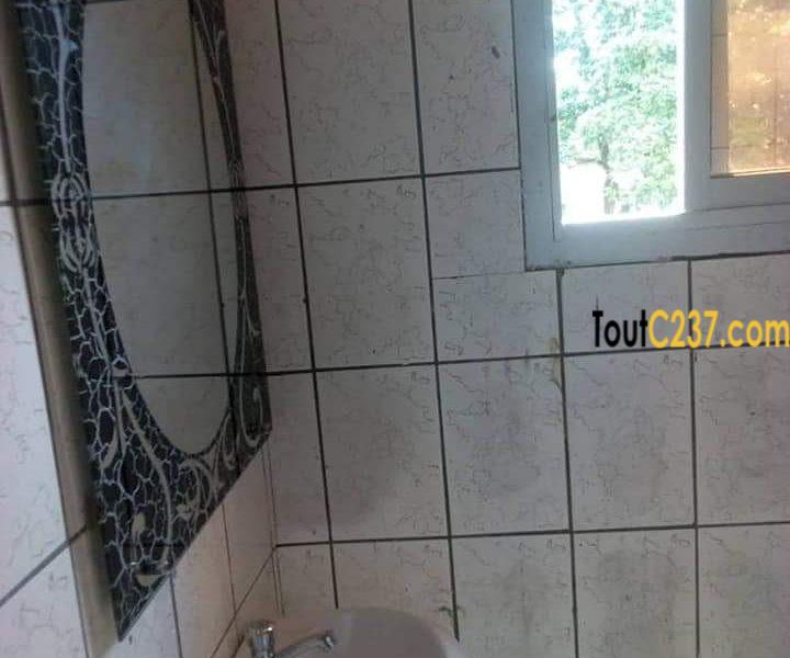 Appartement à louer à bonapriso, Douala