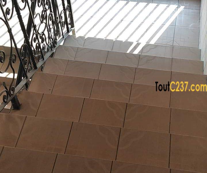Appartement à louer à Bonamoussadi, Douala