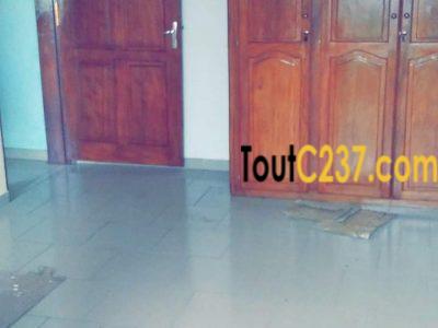 Appartement à louer à Bonamoussadi, Douala