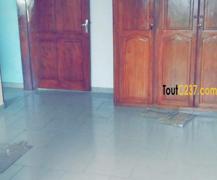 Appartement à louer à Bonamoussadi, Douala