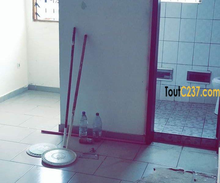 Appartement à louer à Bonamoussadi, Douala