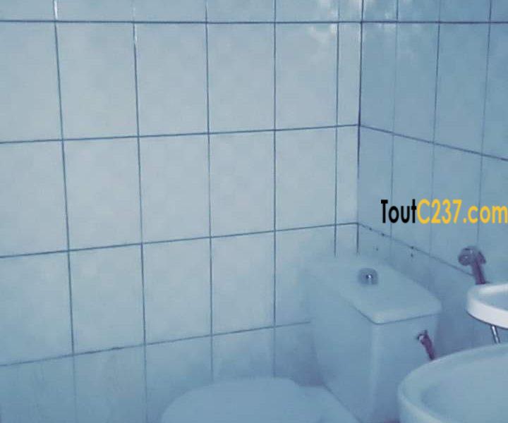 Appartement à louer à Bonamoussadi, Douala