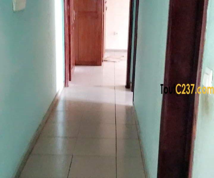 Appartement à louer à Bonamoussadi, Douala