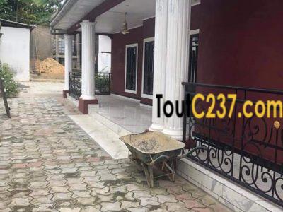 Villa à louer à Hopital général, Douala