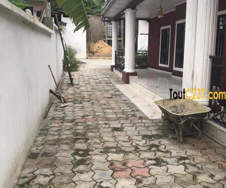 Villa à louer à Hopital général, Douala