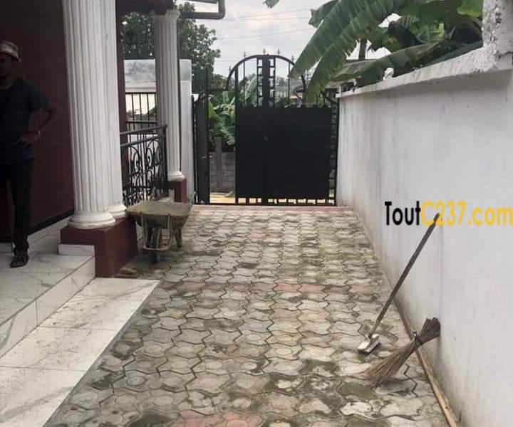 Villa à louer à Hopital général, Douala