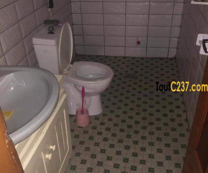 Villa à louer à Hopital général, Douala