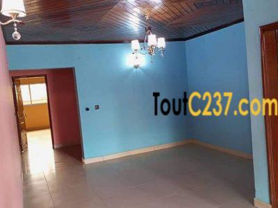Studio Moderne à louer à Bonamoussadi, Douala