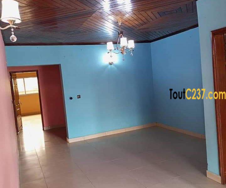 Studio Moderne à louer à Bonamoussadi, Douala