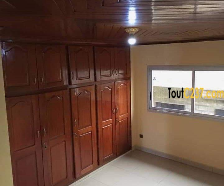 Studio Moderne à louer à Bonamoussadi, Douala