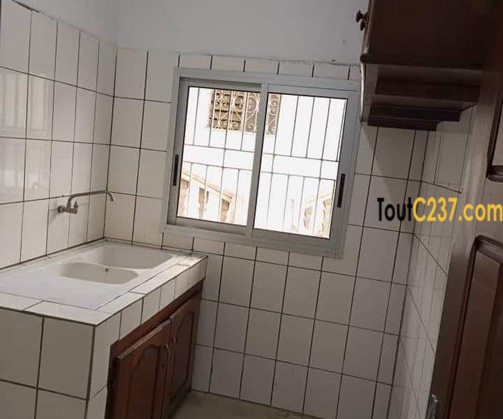 Studio Moderne à louer à Bonamoussadi, Douala