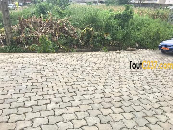 Terrain à vendre à Bonamoussadi, Douala
