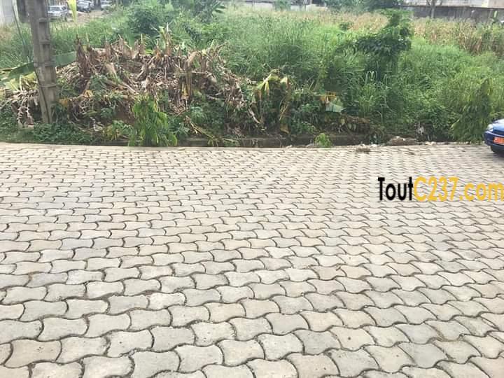 Terrain à vendre à Bonamoussadi, Douala