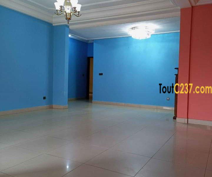 Appartement à louer à Bonamoussadi, Douala