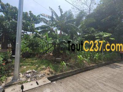 Terrain d'angle à vendre à Bonapriso, Douala