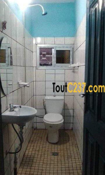 Studio Moderne à louer à Bonamoussadi, Douala