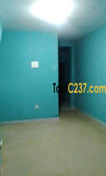 Studio Moderne à louer à Bonamoussadi, Douala