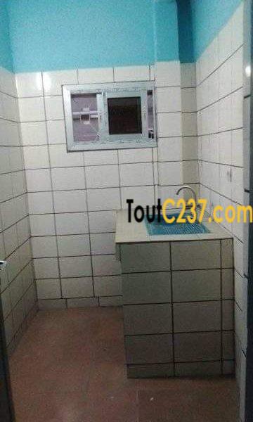 Studio Moderne à louer à Bonamoussadi, Douala