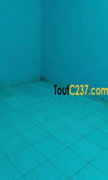 Studio Moderne à louer à Bonamoussadi, Douala