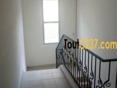 Duplex à louer à Bonapriso, Douala