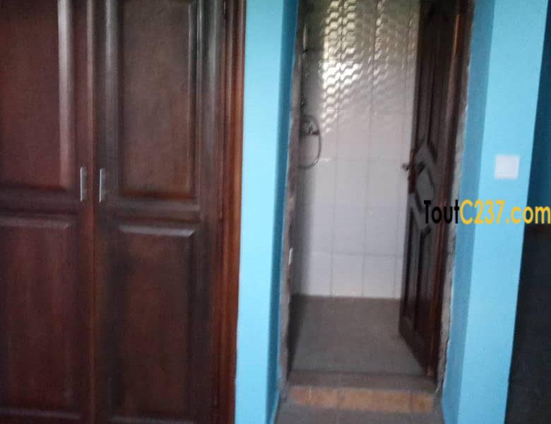 Appartement à louer à Bonamoussadi, Douala