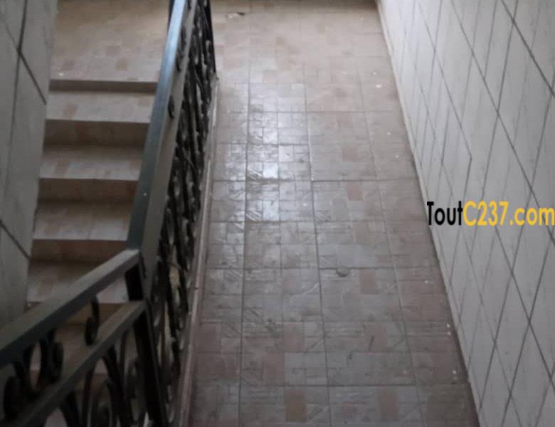 Appartement à louer à Bonamoussadi, Douala