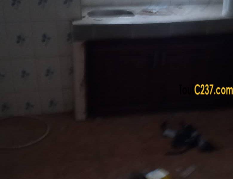 Appartement à louer à Bonamoussadi, Douala