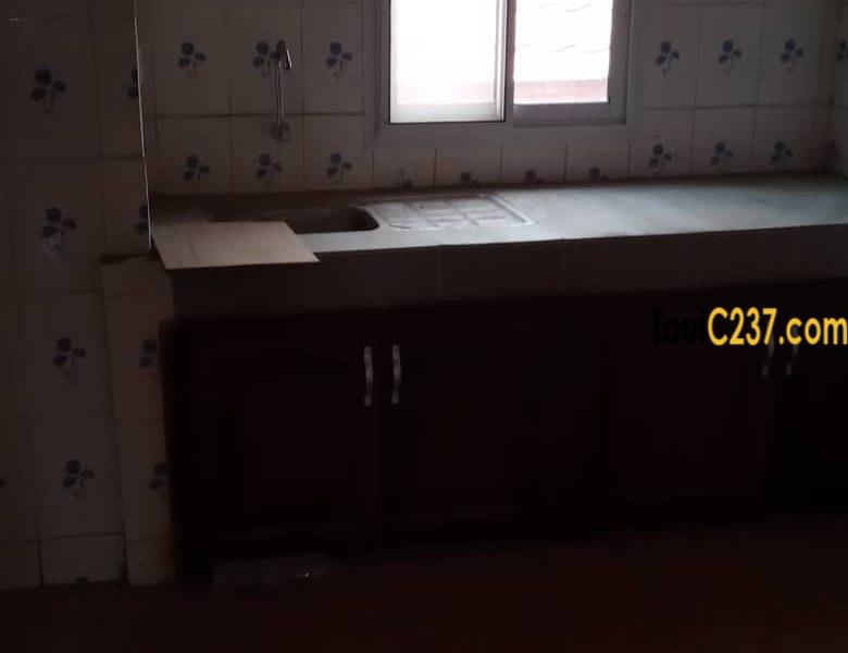 Appartement à louer à Bonamoussadi, Douala