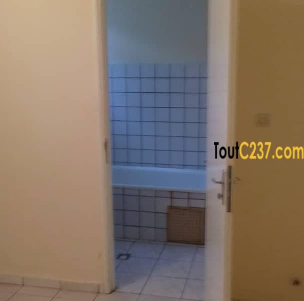 Appartement à louer à Bonapriso, Douala