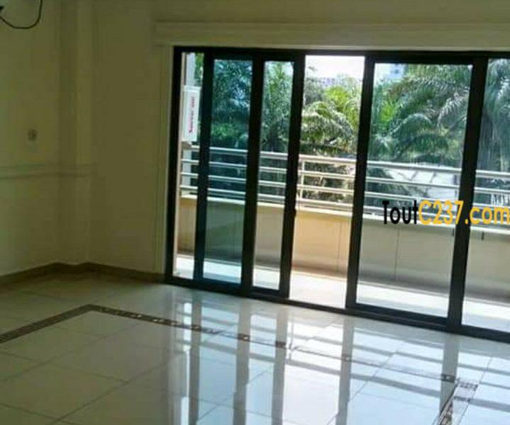 Appartement à louer à Bonapriso, Douala