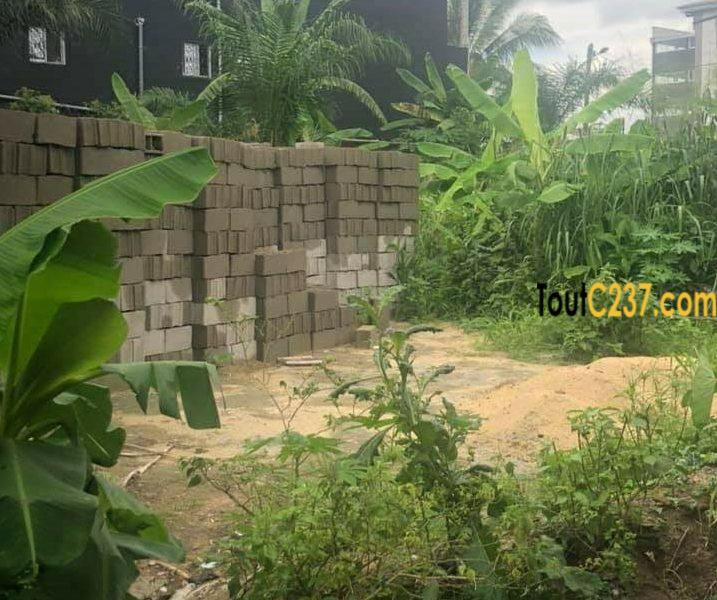 Terrain à vendre à Logbessou, Douala