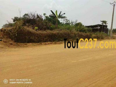 Terrain commercial d'angle à vendre à Lendi, Douala