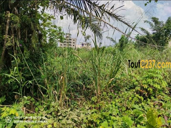 Terrain à vendre à Lendi, Douala