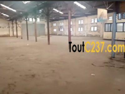 Entrepôt à louer à Akwa, Douala