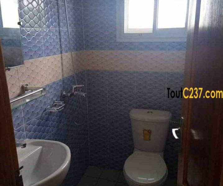 Appartement à louer à Bonamoussadi, Douala