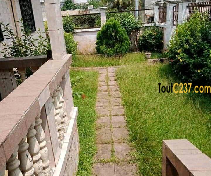 Villa à louer à Kotto Douala